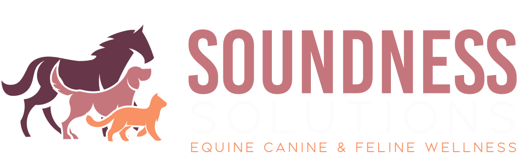 Soundness Solutions